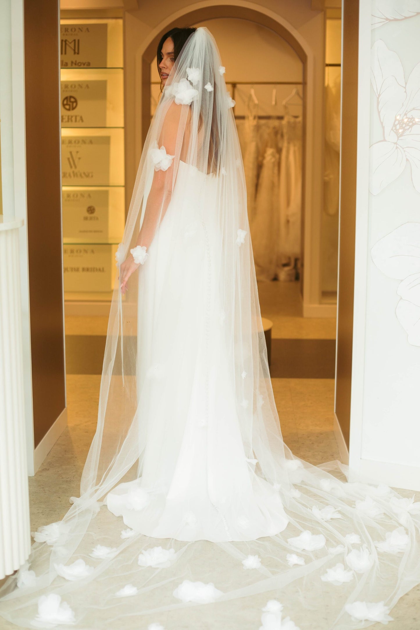Hollie Veil
