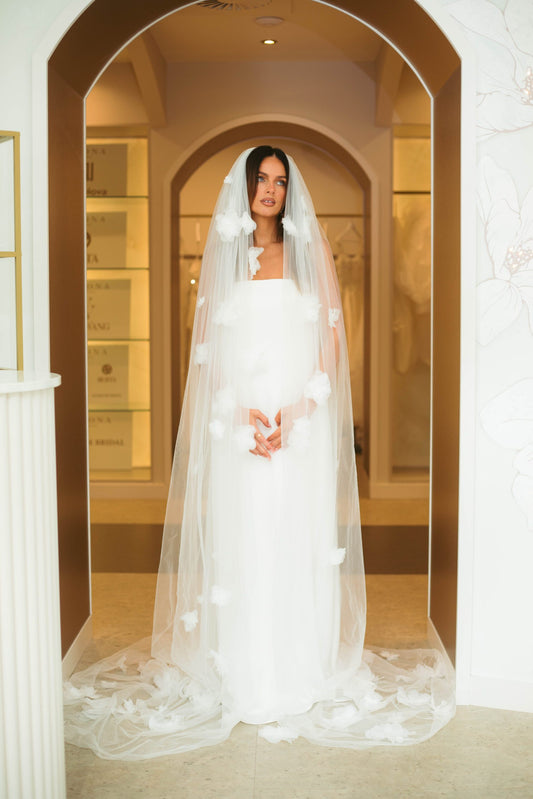 Hollie Veil