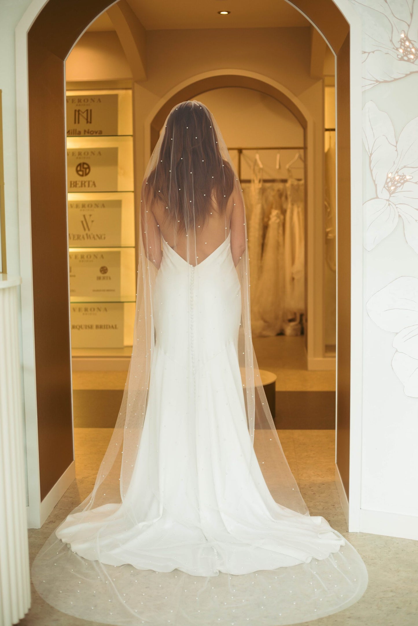 Jackson Veil